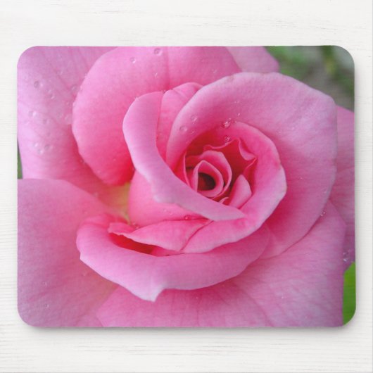 Perfecte roze Rose Muismat (Voorkant)
