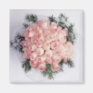 Perfecte roze rozenmagneten magneet