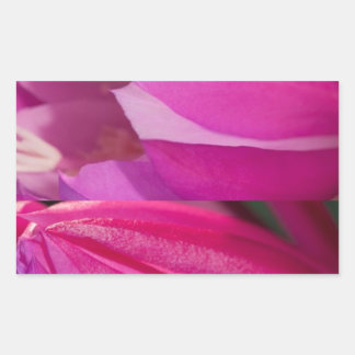 Perfecte roze verleiding: romantische bloemenharte rechthoekige sticker