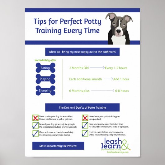 Perfecte training voor puppy Potty Poster (Voorkant)