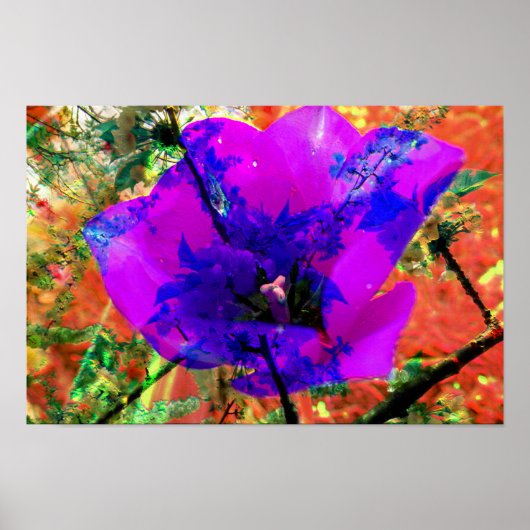 perfecte verontschuldiging poster (Voorkant)