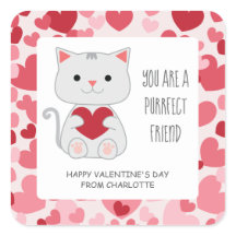 Perfecte Vriend Kat Klaslokaal Valentijnskaart
