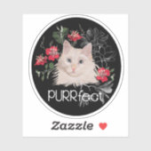 Perfecte witte kat sticker of de naam van je kat (Vel)