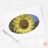 Perfecte zomerzonnebloem in de blauwe lucht. ovale sticker (Envelop)
