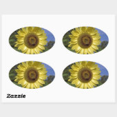Perfecte zomerzonnebloem in de blauwe lucht. ovale sticker (Vel)