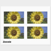 Perfecte zomerzonnebloem in de blauwe lucht. rechthoekige sticker (Vel)