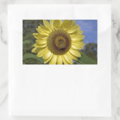 Perfecte zomerzonnebloem in de blauwe lucht. rechthoekige sticker (Tas)