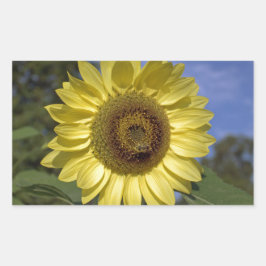 Perfecte zomerzonnebloem in de blauwe lucht. rechthoekige sticker