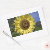 Perfecte zomerzonnebloem in de blauwe lucht. rechthoekige sticker (Envelop)