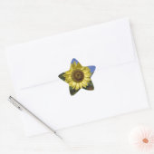 Perfecte zomerzonnebloem in de blauwe lucht. ster sticker (Envelop)