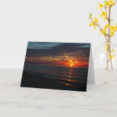 Perfecte Zonsondergang over het Wenskaart van Kaart (Gele Bloem)