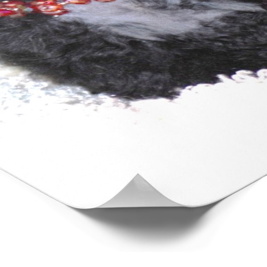 Perfecte zwarte Speelgoed Poodle Puppy Poster (Hoek)