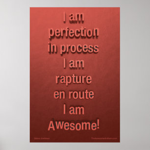 "PERFECTIE" Geweldige Poster (vertrouwen)