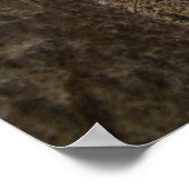 Pergamon Greek Ruins Poster (Hoek)