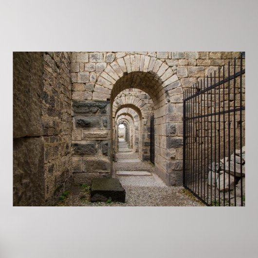 Pergamon Greek Ruins Poster (Voorkant)