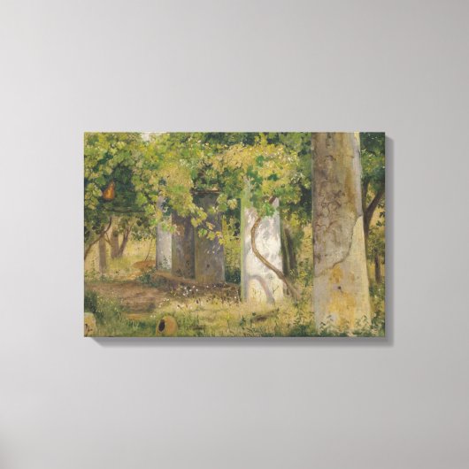 Pergola met wijndruiven (wijngaard) canvas afdruk (Voorkant)