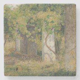 Pergola met wijndruiven (wijngaard) stenen onderzetter