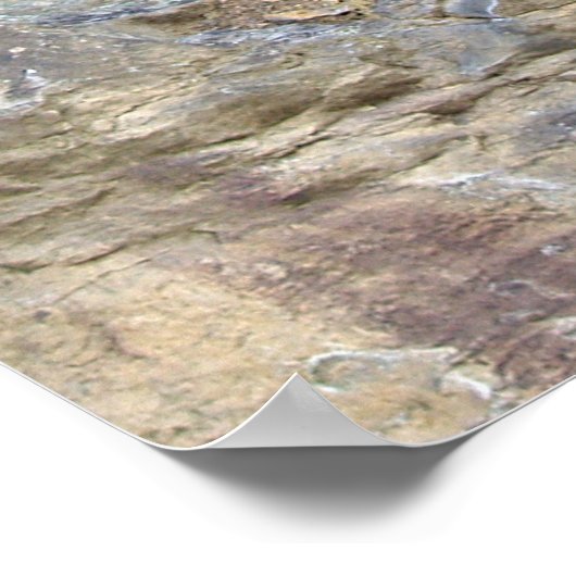 Perhesiestructuur Poster (Hoek)