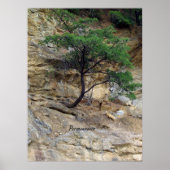 Perhesiestructuur Poster (Voorkant)