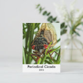 Periodicale Cicada Large Insect Macro Foto Briefkaart (Staand voorkant)