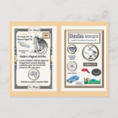 Periodiek Systeem Draak - Platina Briefkaart (Achterkant)