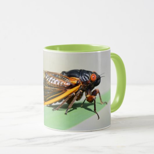 Periodieke cicada mok - geniet van koffie met Broo (Voorkant rechts)