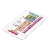 Periodieke Lijst van Magnetelementen Magneet (Linkerzijde)