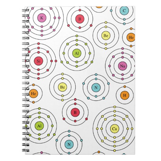 Periodieke schelpen notitieboek (Voorkant)