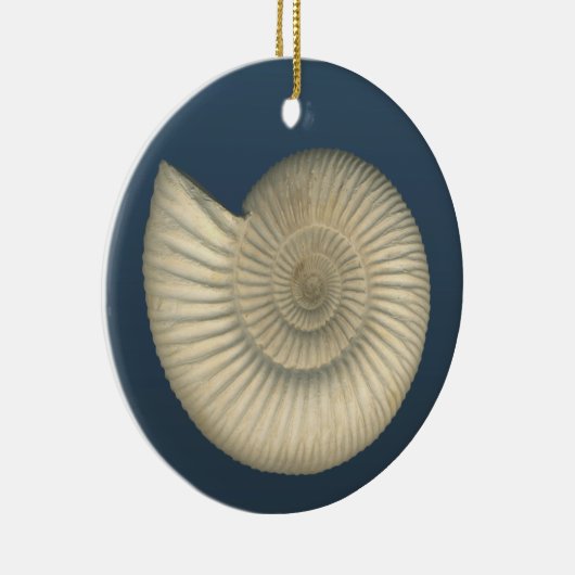 Perisphinctes Ammonite Keramisch Ornament (Rechts)