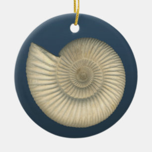 Perisphinctes Ammonite Keramisch Ornament