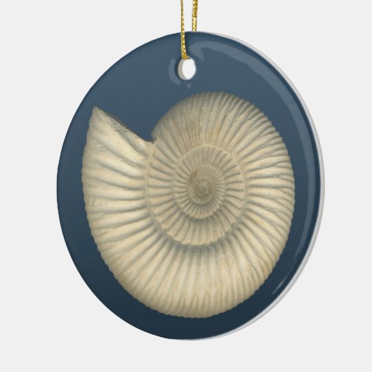 Perisphinctes Ammonite Keramisch Ornament (Links)
