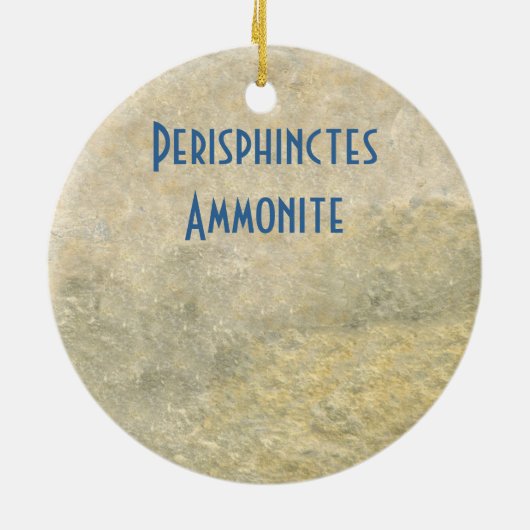 Perisphinctes Ammonite Keramisch Ornament (Achterkant)