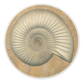 Perisphinctes Ammonite Keramische Knop (Voorkant)