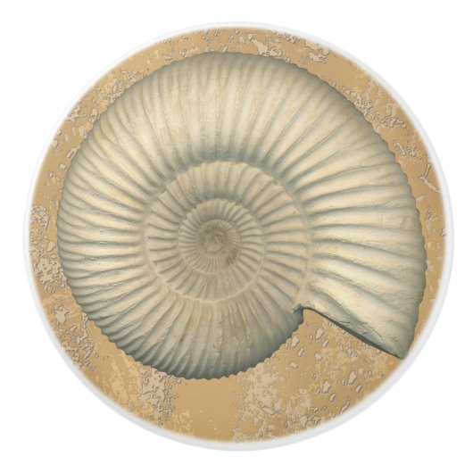 Perisphinctes Ammonite Keramische Knop (Voorkant)