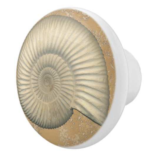 Perisphinctes Ammonite Keramische Knop (Rechts)