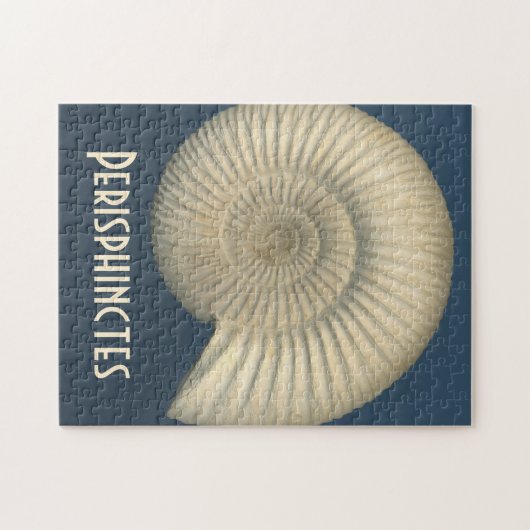 Perisphinctes Ammonite Legpuzzel (Horizontaal)