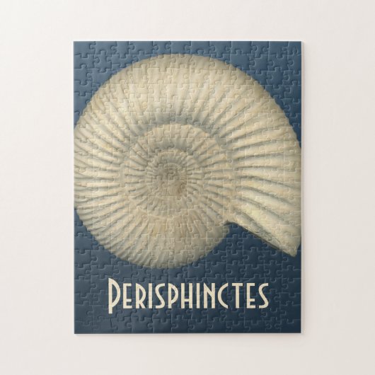 Perisphinctes Ammonite Legpuzzel (Verticaal)
