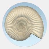 Perisphinctes Ammonite Ronde Sticker (Voorkant)