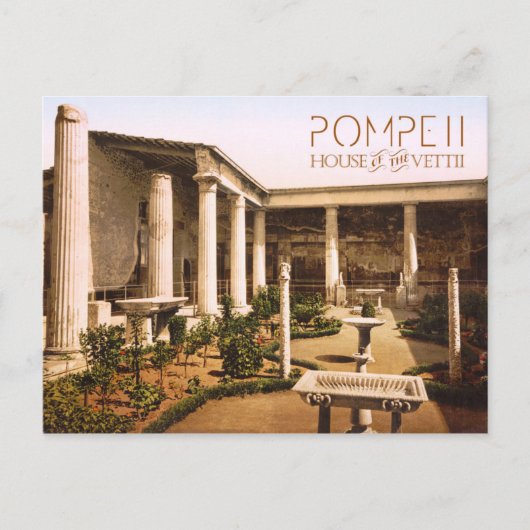 Peristyle of the House of the Vettii, Pompeii Briefkaart (Voorkant)