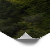 Perito Moreno Glacier Panoramic Poster (Hoek)