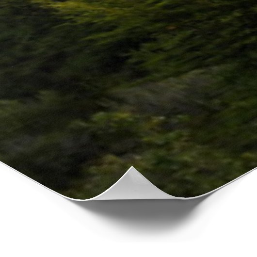 Perito Moreno Glacier Panoramic Poster (Hoek)