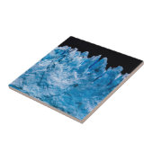 Perito Moreno Glacier Tegeltje (Zijkant)