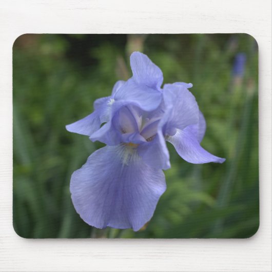 Periwinke Blue Iris Mousepad Muismat (Voorkant)