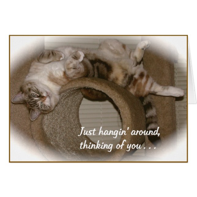 Periwinkel de kat (Voorkant Horizontaal)