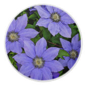 PERIWINKLE BLUE CLEMATIS KERAMISCHE KNOP (Voorkant)
