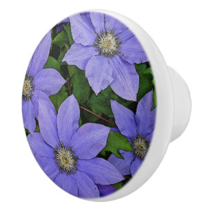 PERIWINKLE BLUE CLEMATIS KERAMISCHE KNOP