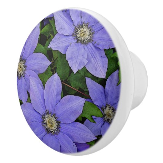 PERIWINKLE BLUE CLEMATIS KERAMISCHE KNOP (Rechts)