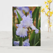 Periwinkle Blue Iris Flower Note Kaart (Gele Bloem)