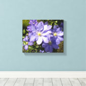 Periwinkle Clematis Canvas Afdruk (Insitu (Houten vloer))