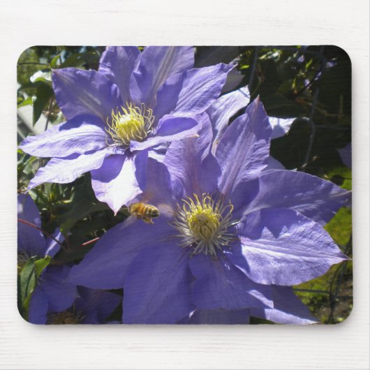 Periwinkle Clematis en Bee mousepad Muismat (Voorkant)